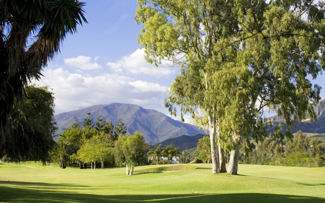 Puerto Banus