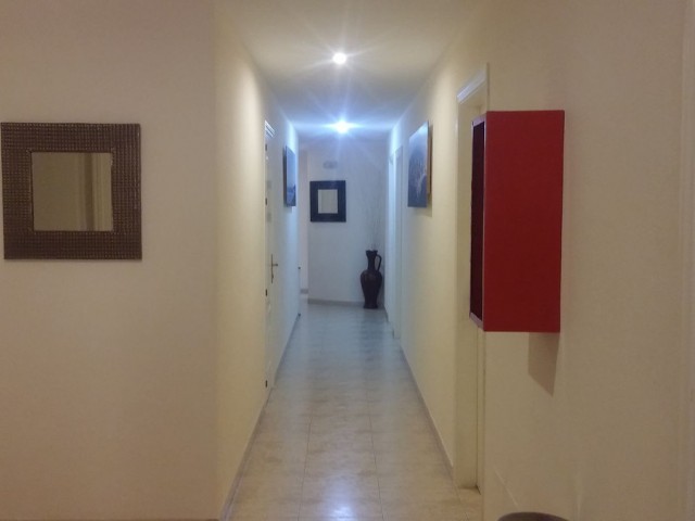 Commercial in San Pedro de Alcántara