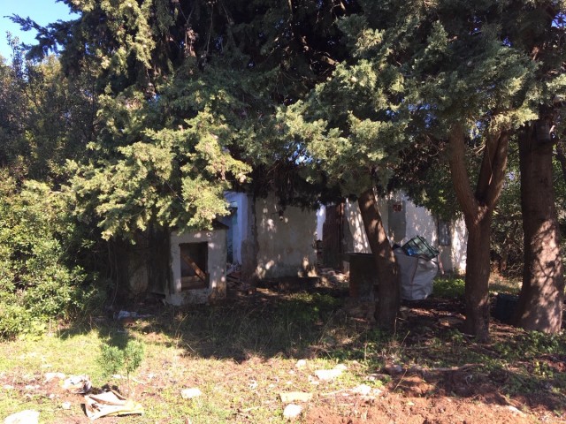  Plot in Manilva