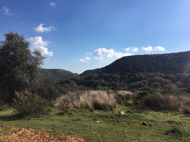  Plot in Manilva