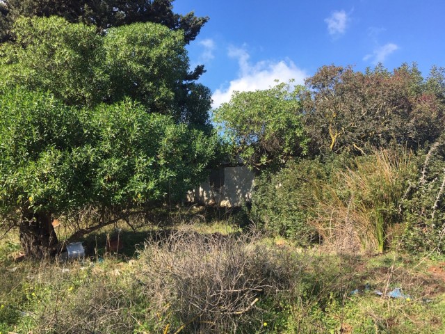  Plot in Manilva