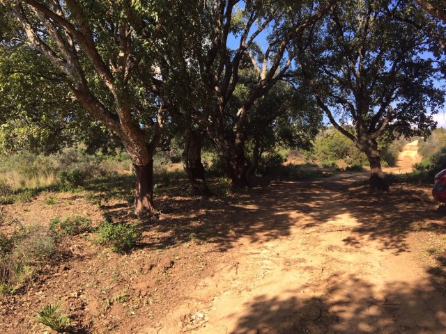  Plot in Manilva