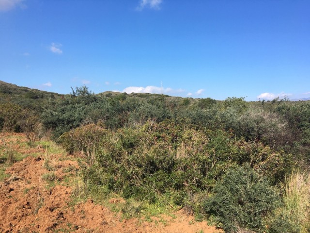  Plot in Manilva