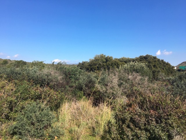  Plot in Manilva