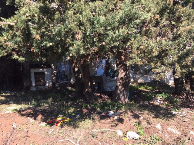  Plot in Manilva