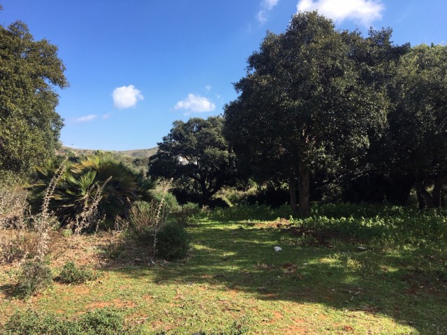 Plot in Manilva