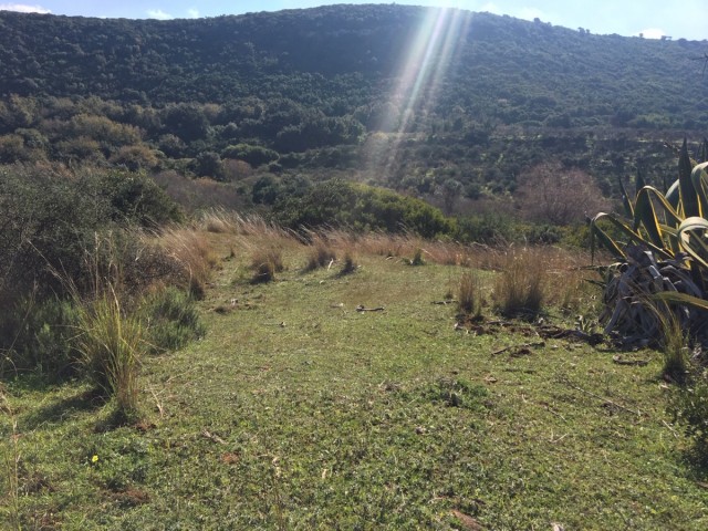  Plot in Manilva