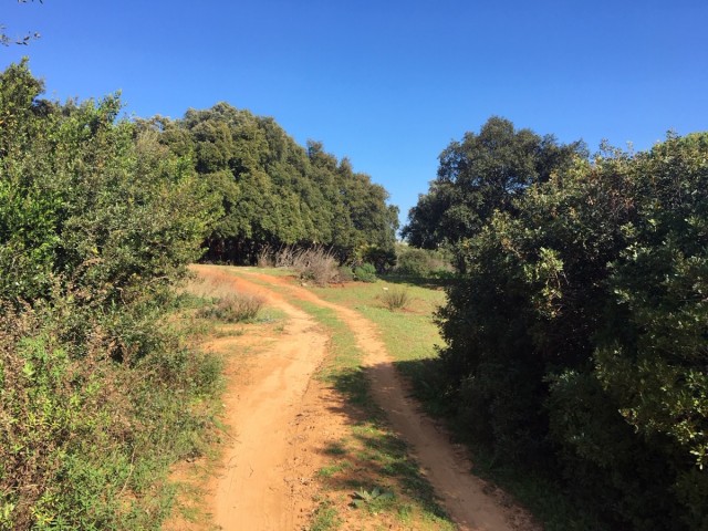  Plot in Manilva