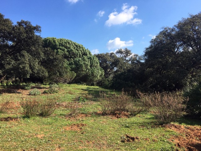  Plot in Manilva