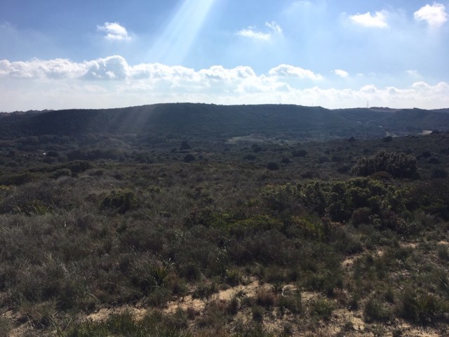  Plot in Manilva