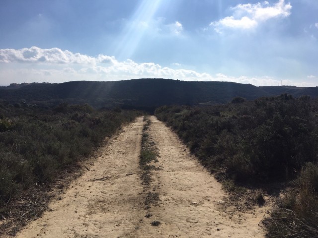  Plot in Manilva