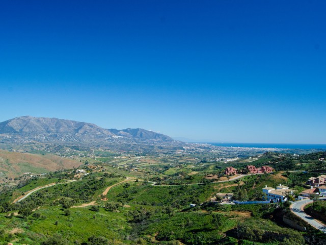  Plot in La Mairena