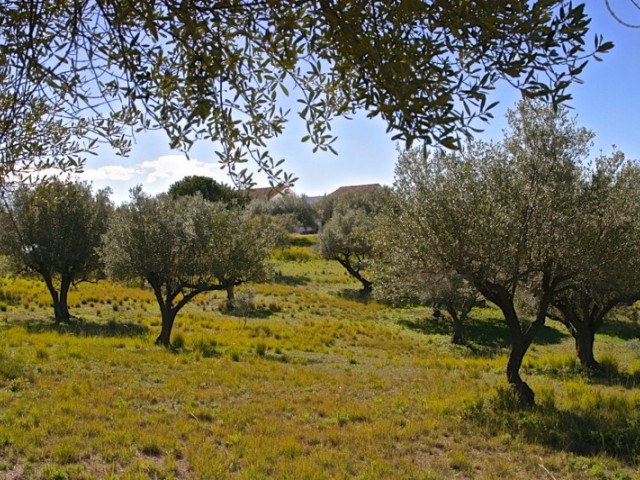 4 Slaapkamer Villa in Elviria