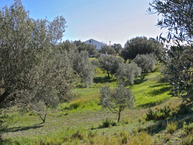 4 Slaapkamer Villa in Elviria