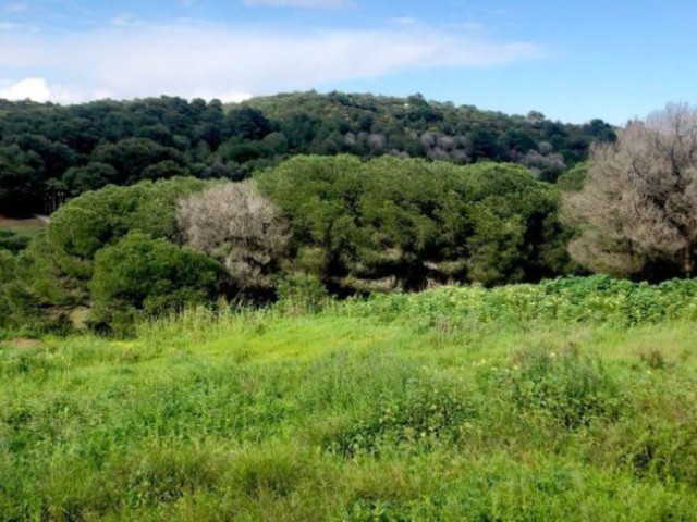  Plot in Sotogrande
