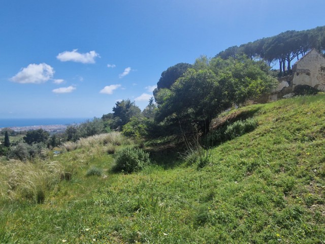  Plot in Mijas