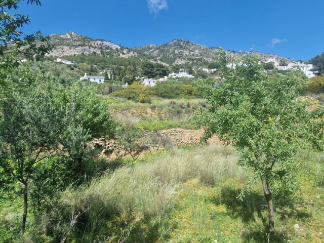  Plot in Mijas