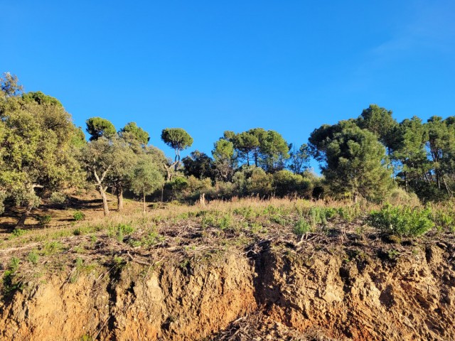  Tontti La Zagaleta