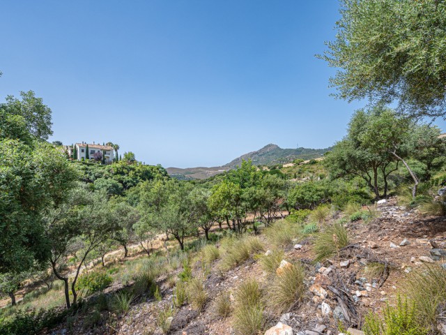 Tontti, La Zagaleta, R4835560