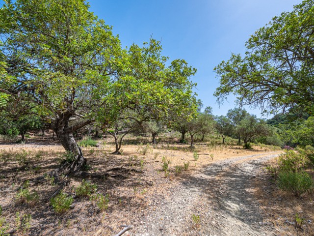 Tontti, La Zagaleta, R4835560