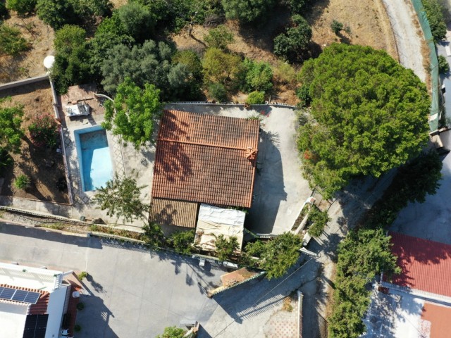 Commercial in Estepona