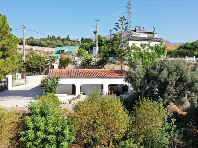 Commercial in Estepona