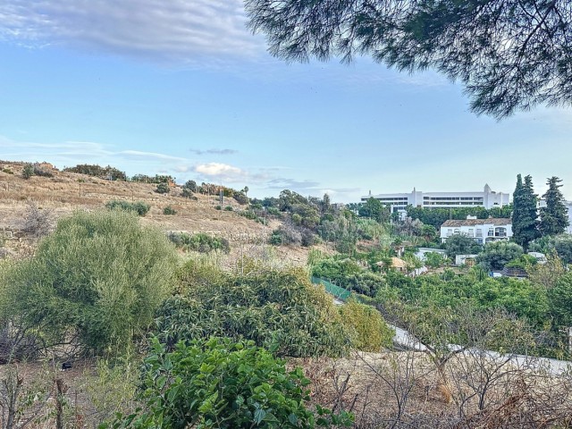 Commercial in Estepona
