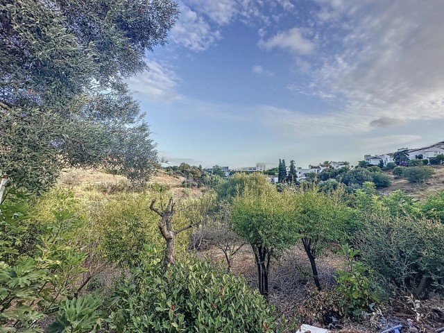 Commercial in Estepona