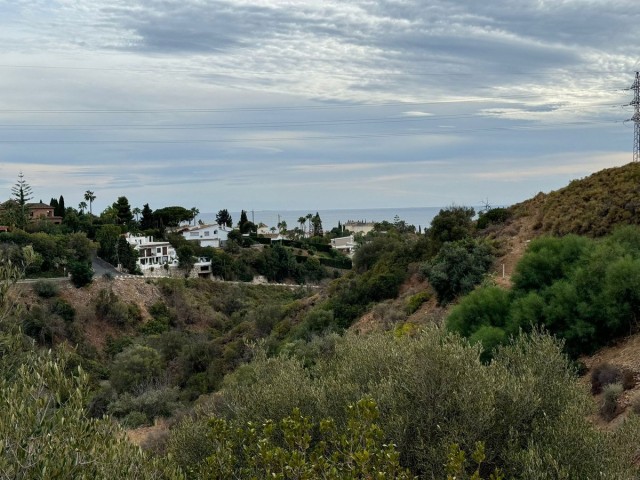  Tontti El Rosario