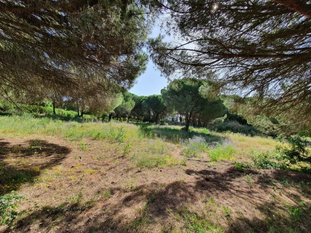  Plot in Sotogrande