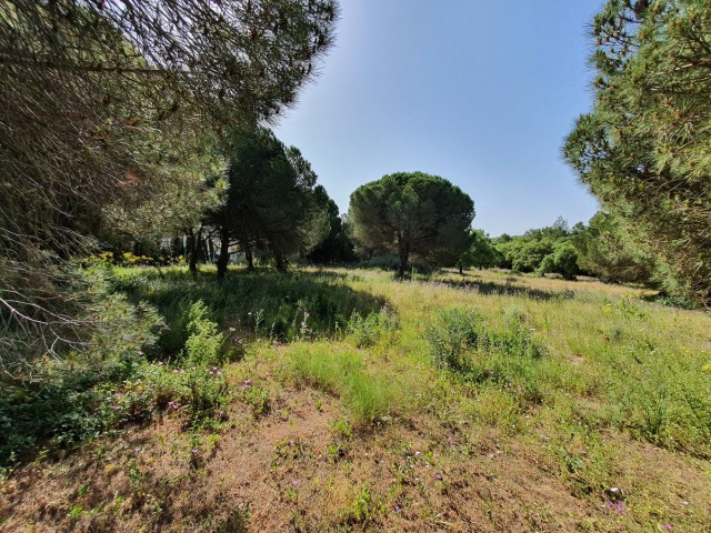  Plot in Sotogrande