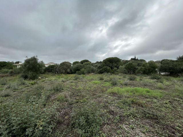 Grundstück, Sotogrande Alto, R4880659