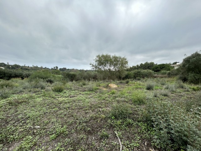 Grundstück, Sotogrande Alto, R4880659