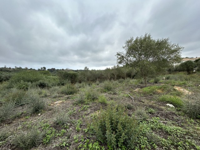  Perceel in Sotogrande Alto