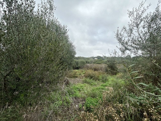  Perceel in Sotogrande Alto