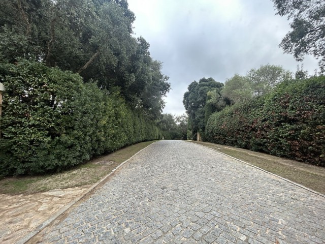  Perceel in Sotogrande Alto
