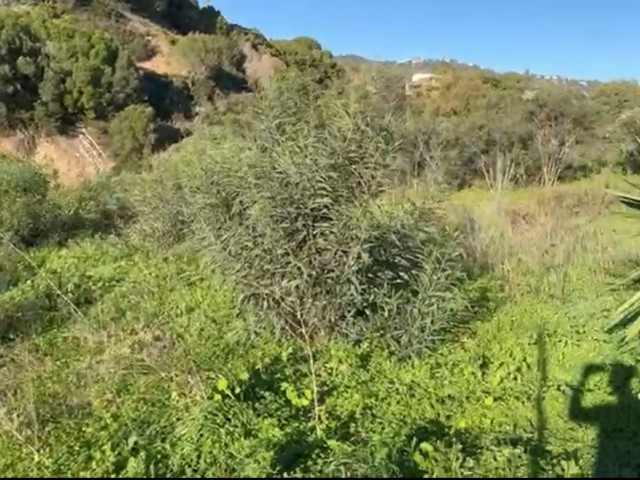  Parcelle à Elviria