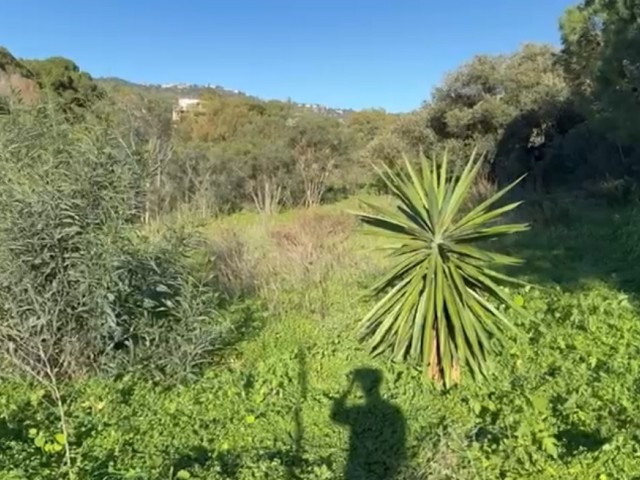 Parcelle à Elviria
