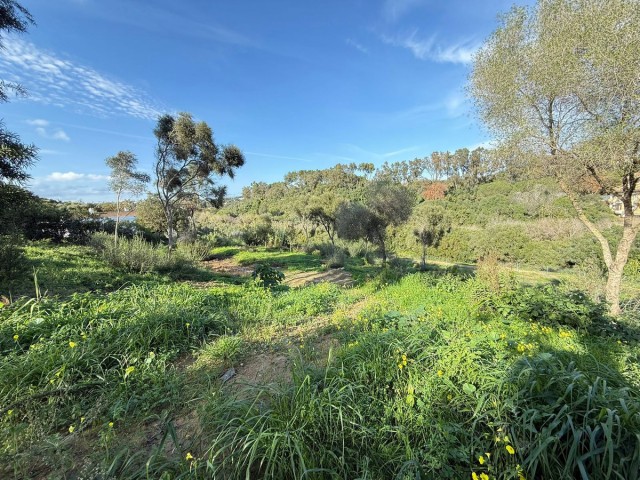  Plot in Sotogrande