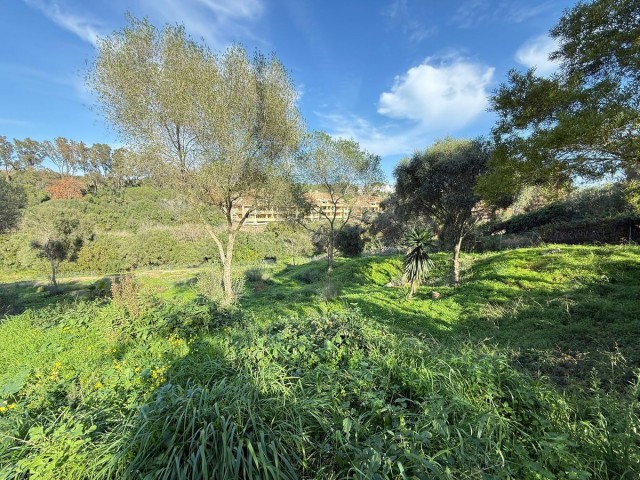 Plot in Sotogrande