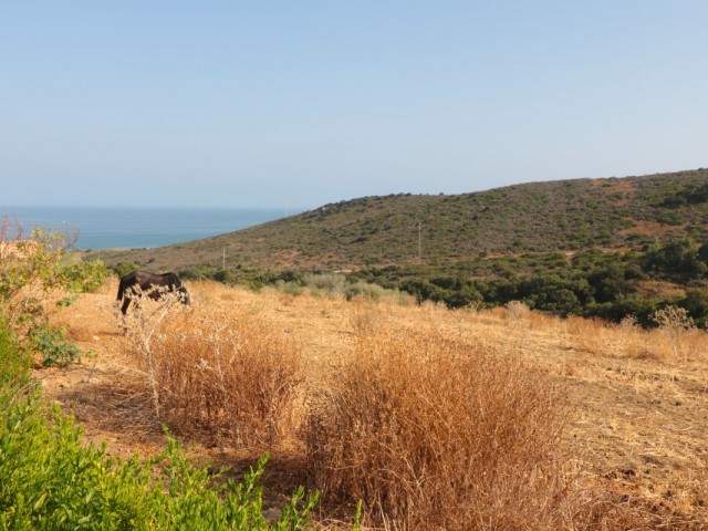  Plot in Manilva