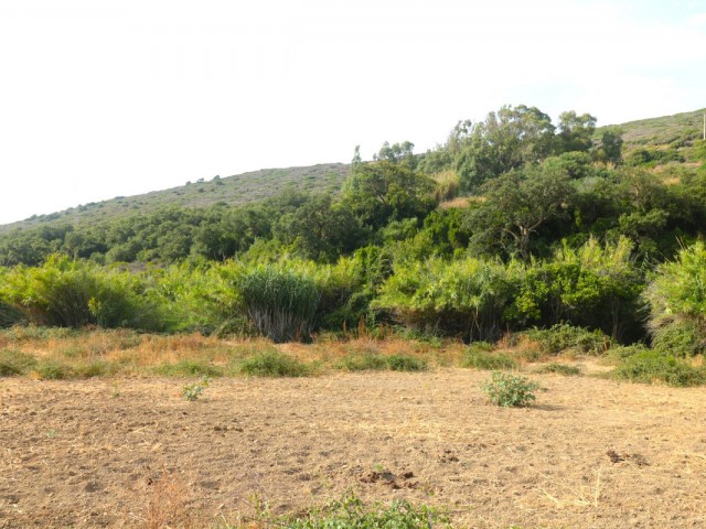  Plot in Manilva