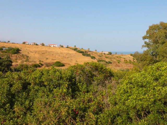  Plot in Manilva