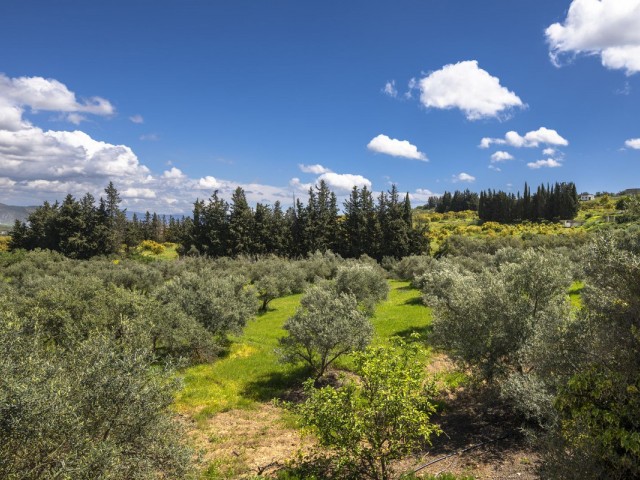 9 Soveroms Villa i Alhaurín el Grande