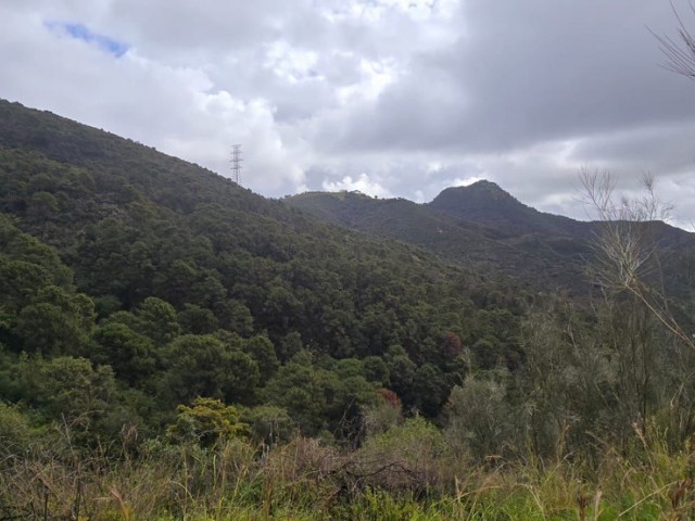  Plot in Benahavís
