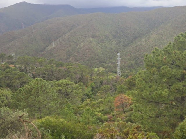  Plot in Benahavís