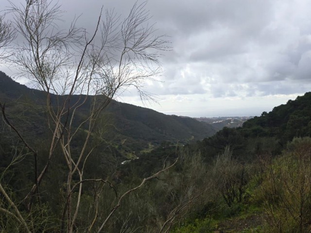  Plot in Benahavís