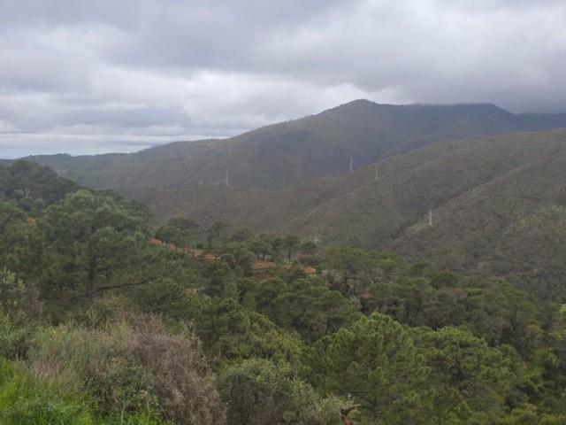  Plot in Benahavís