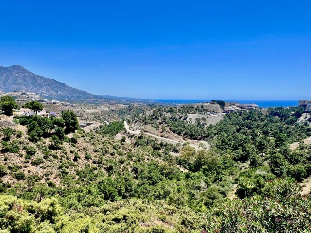 Grundstück, El Madroñal, R5023939