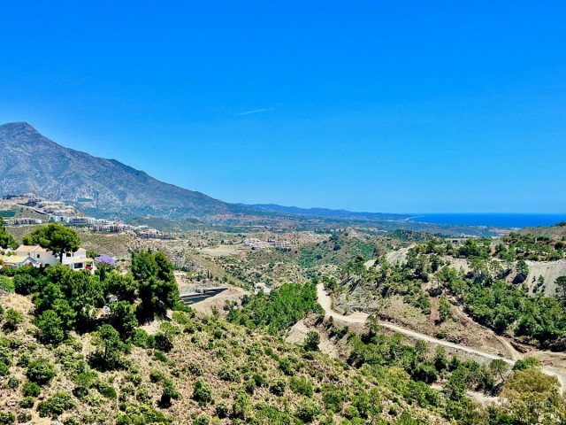 Grundstück, El Madroñal, R5023939